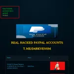 PayPal Accounts For Sale